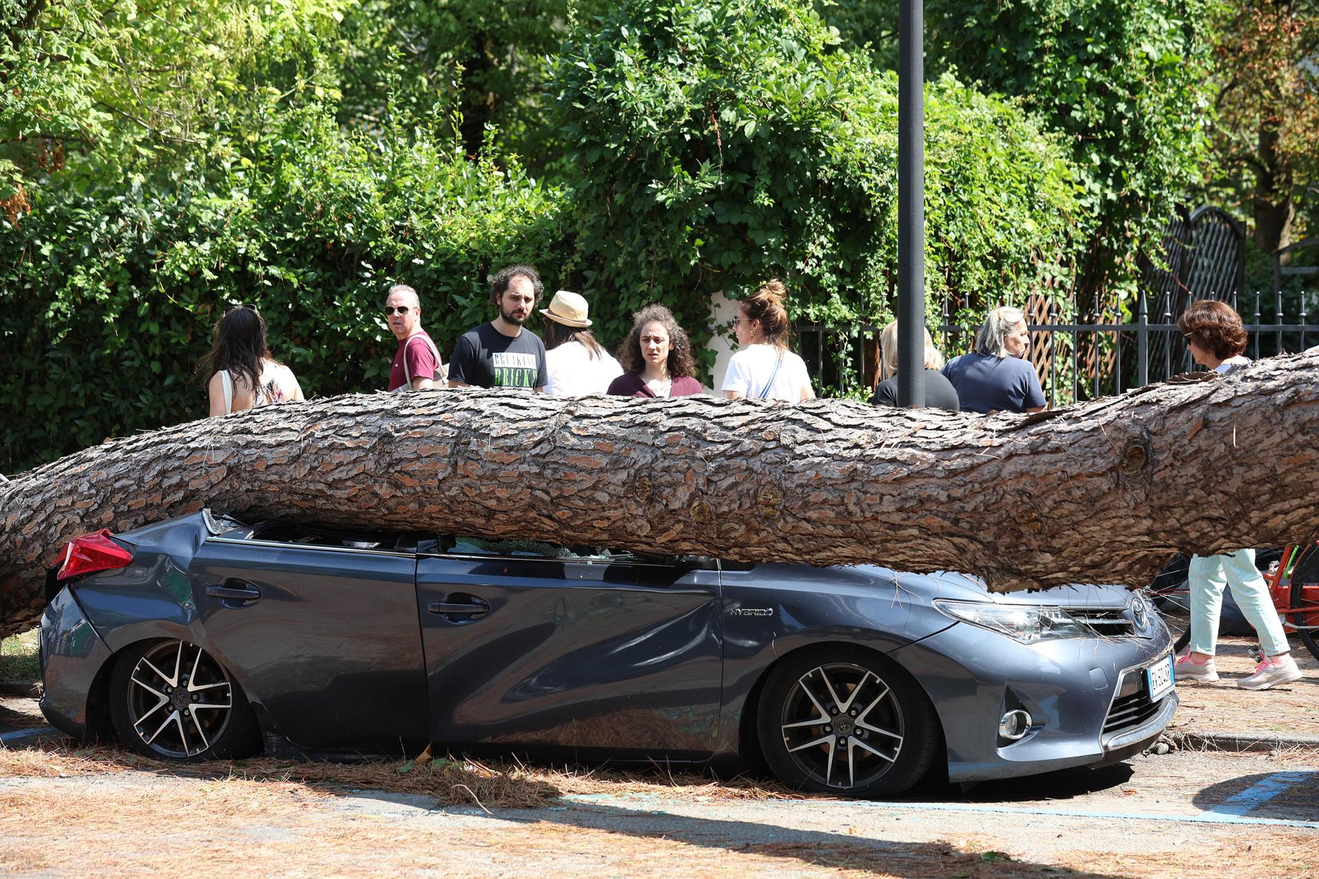 Un árbol caído sobre un coche en Cervia, Italia, el pasado 24 de agosto, debido al temporal en Romaña. EFE/EPA/Fabrizio Zani