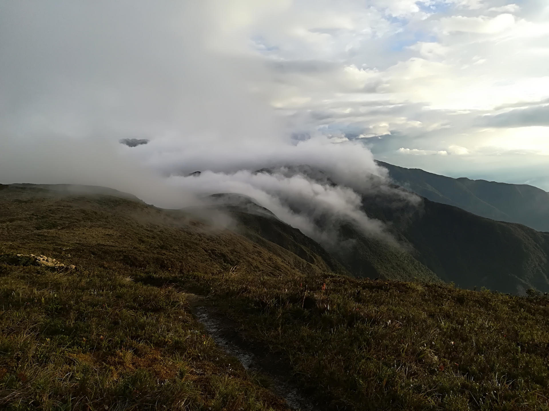 Fotografía cedida por el Ministerio de Ambiente Agua y Transición Ecológica donde se observa parte del Parque Nacional Podocarpus, en Zamora Chinchipe (Ecuador). EFE/ Ministerio De Ambiente Agua Y Transición Ecológica