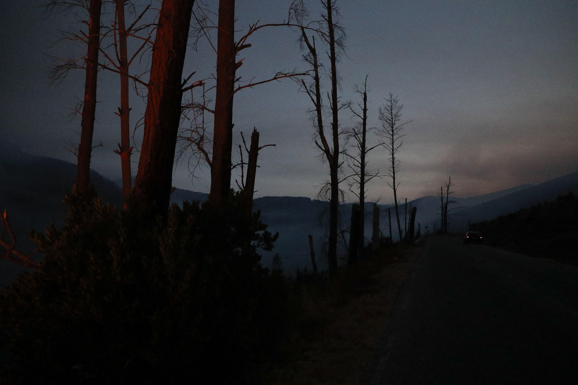 Árboles quemados en el incendio de Augasmestas, entre Pobra do Brollón y Quiroga, en Galicia. EFE/ Eliseo Trigo
