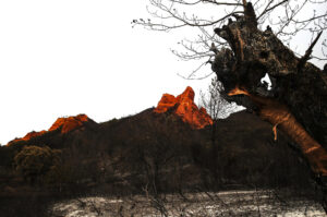 Paraje quemado en el espacio natural de Las Médulas en la provincia de León. EFE/Ana F. Barredo/Archivo