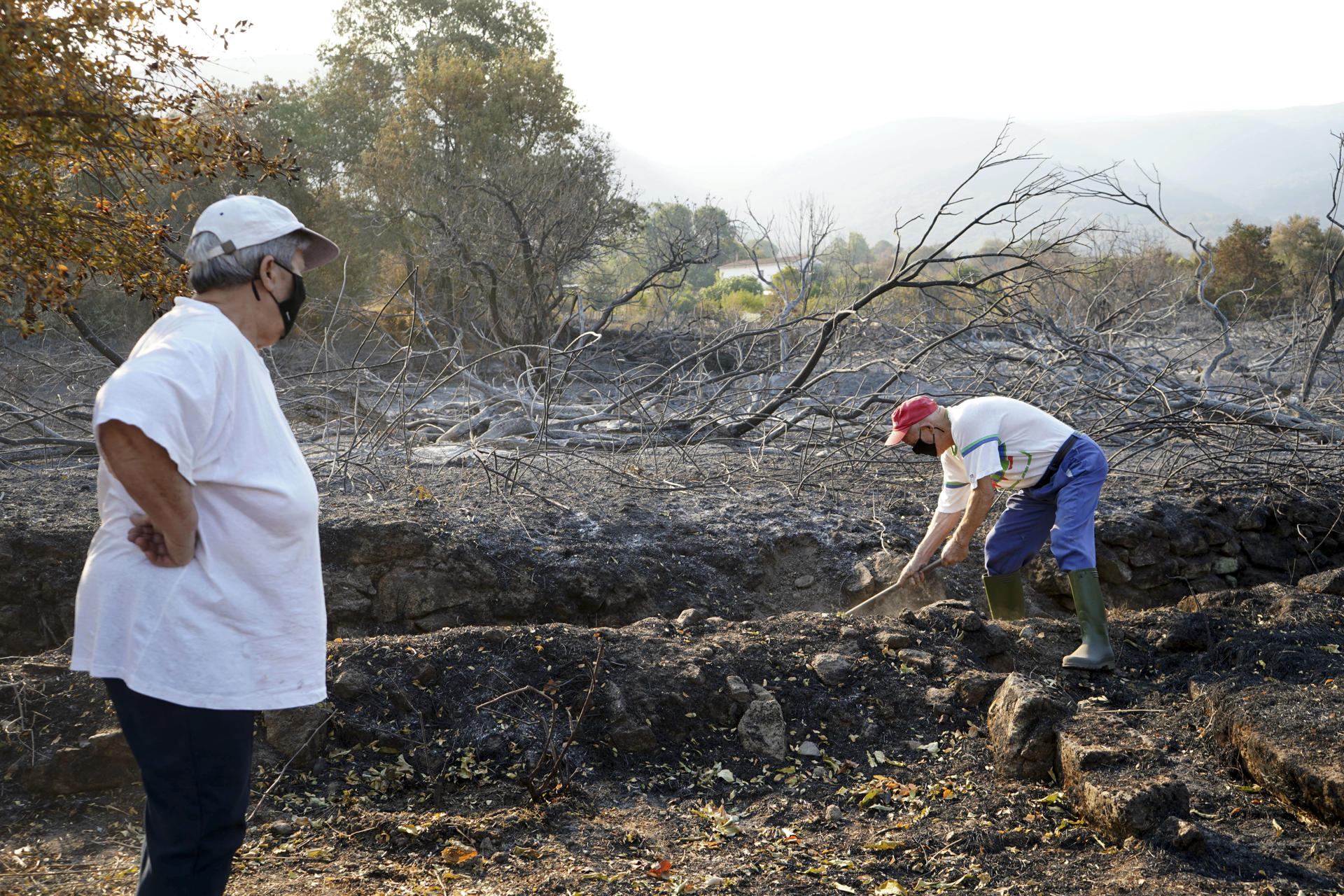 Vecinos de un área quemada en el municipio de Jarilla, este miércoles. El avance  del incendio en Jarilla (Cáceres) se ha logrado contener pues en los dos últimos días ha ido quemando "de 500 en 500 hectáreas", mucho menos que en jornadas anteriores, pero hoy el viento vuelve a complicar las tareas de extinción. El consejero de Presidencia, Interior y Diálogo Social, Abel Bautista, ha informado, tras una nueva reunión del Cecopi en el Puesto Avanzado de La Granja (Cáceres), de la evolución de este fuego, que entra hoy en su noveno día activo y que ya ha arrasado 16.000 hectáreas en un perímetro de 160 kilómetros. EFE/
