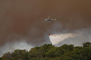 Imagen de archivo ( 05/08/2025) del incendio forestal declarado en el paraje de La Peña, en Tarifa (Cádiz).
EFE/A.Carrasco Ragel.