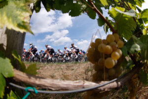 El pelotón durante la tercera etapa de La Vuelta Ciclista a España, disputada este lunes entre San Maurizio Canavese y Ceres, con 134 kilómetros de recorrido. EFE/ Javier Lizón