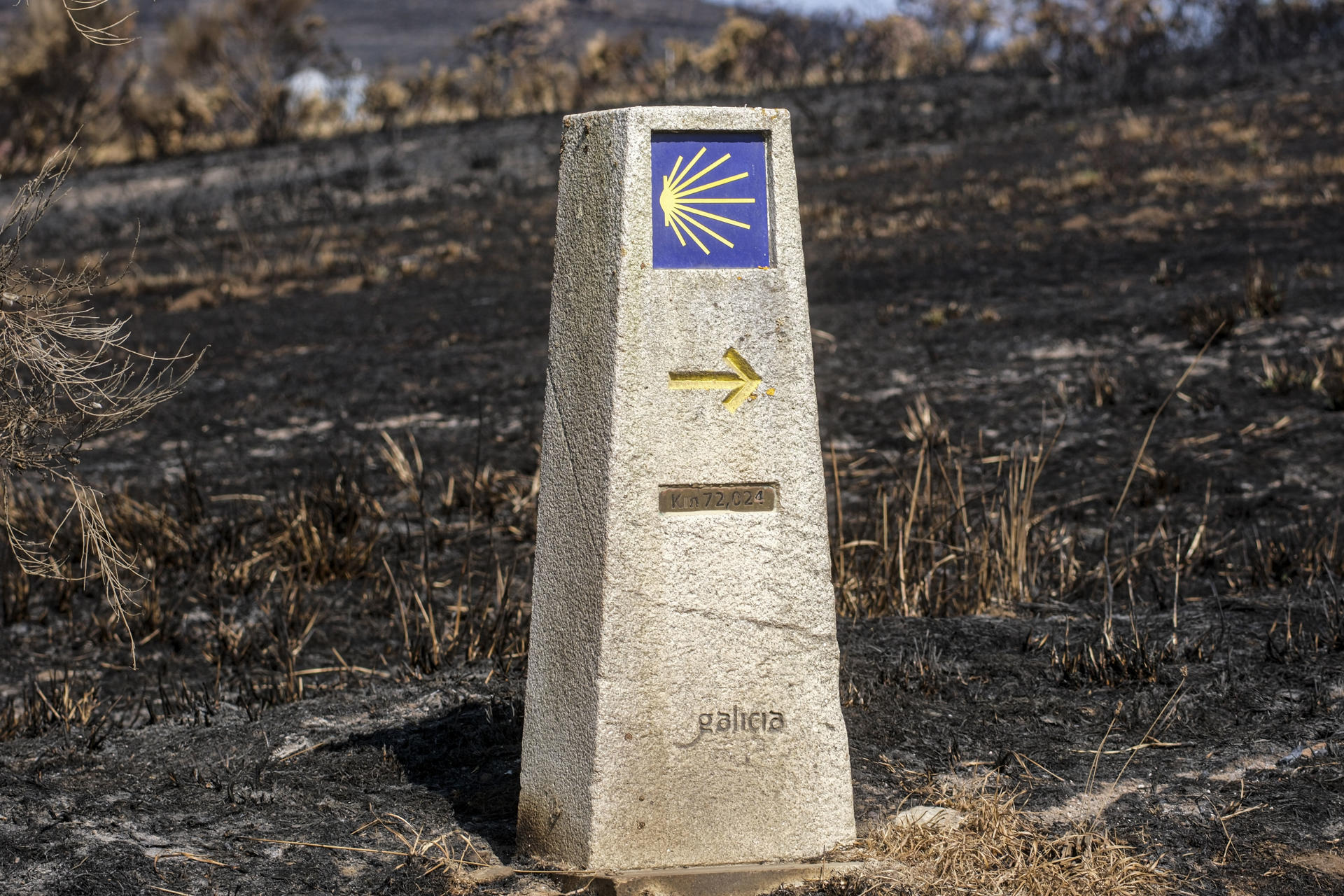 Un hito del Camino de Santiago sobre un terreno calcinado indica el sentido del recorrido. A la dificultad habitual del Camino a Santiago se sumaron en los últimos días el fuego de los incendios y el humo; para unos, rozó el misticismo, y llegaron a la meta; otros cambiaron sus planes. EFE/Xurxo Martínez