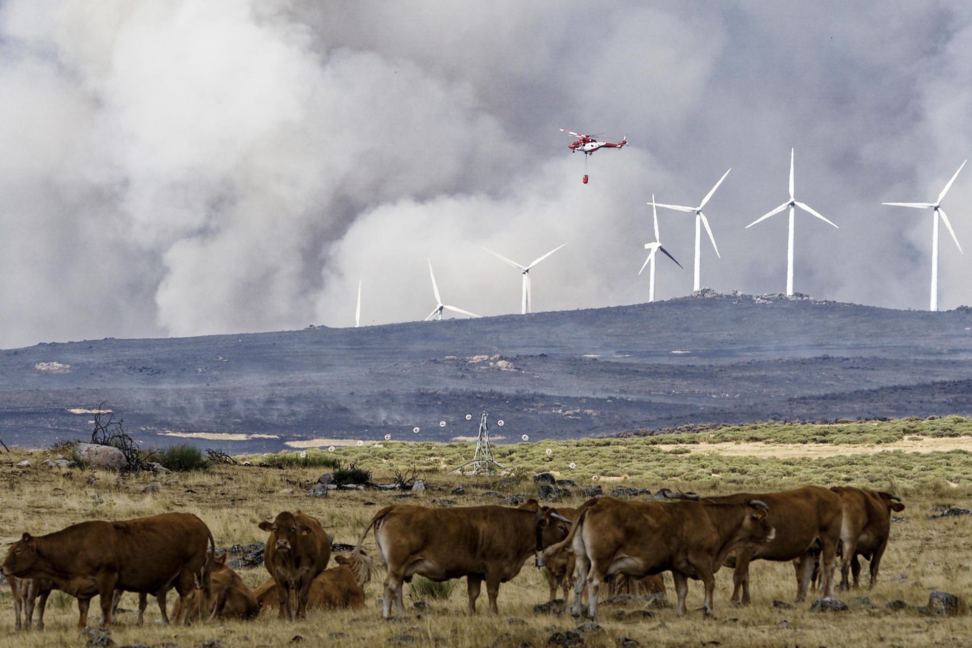 Medios aéreos intentan apagar las llamas del incendio de Urraca-Miguel, barrio anexionado de Ávila capital, que ha sido evacuado este viernes, pasadas las 16 horas por la proximidad de las llamas y cuyos vecinos están alojados en el Centro de Exposiciones y Congresos Lienzo Norte de Ávila. EFE/ Raúl Sanchidrián