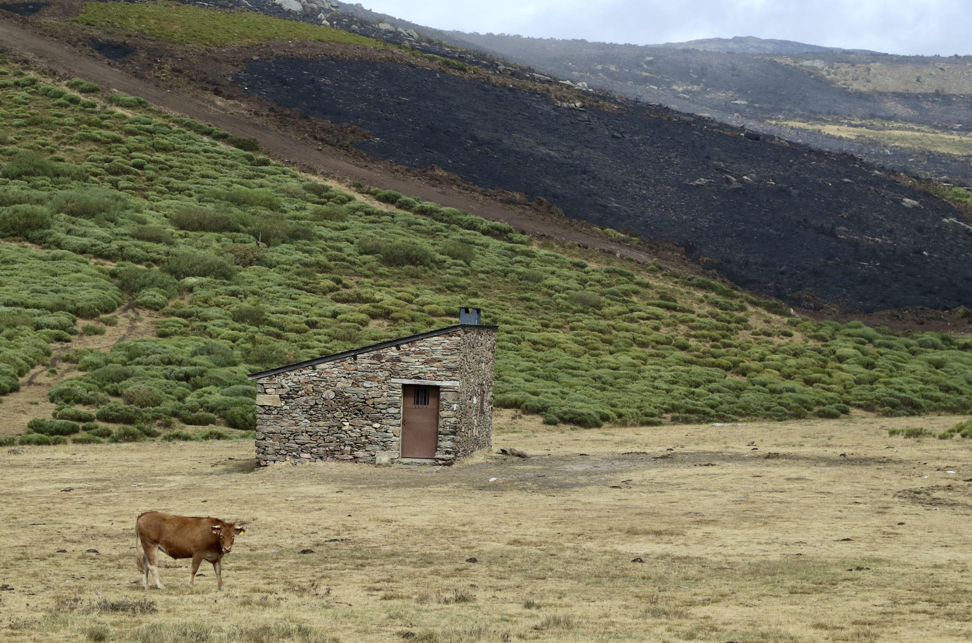 El incendio forestal de Porto (Zamora) baja a nivel 1 de gravedad potencial ante una evolución favorable. EFE/Mariam A. Montesinos
