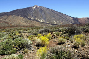 Vista de archivo del Parque Nacional del Teide. EFE/Cristóbal García