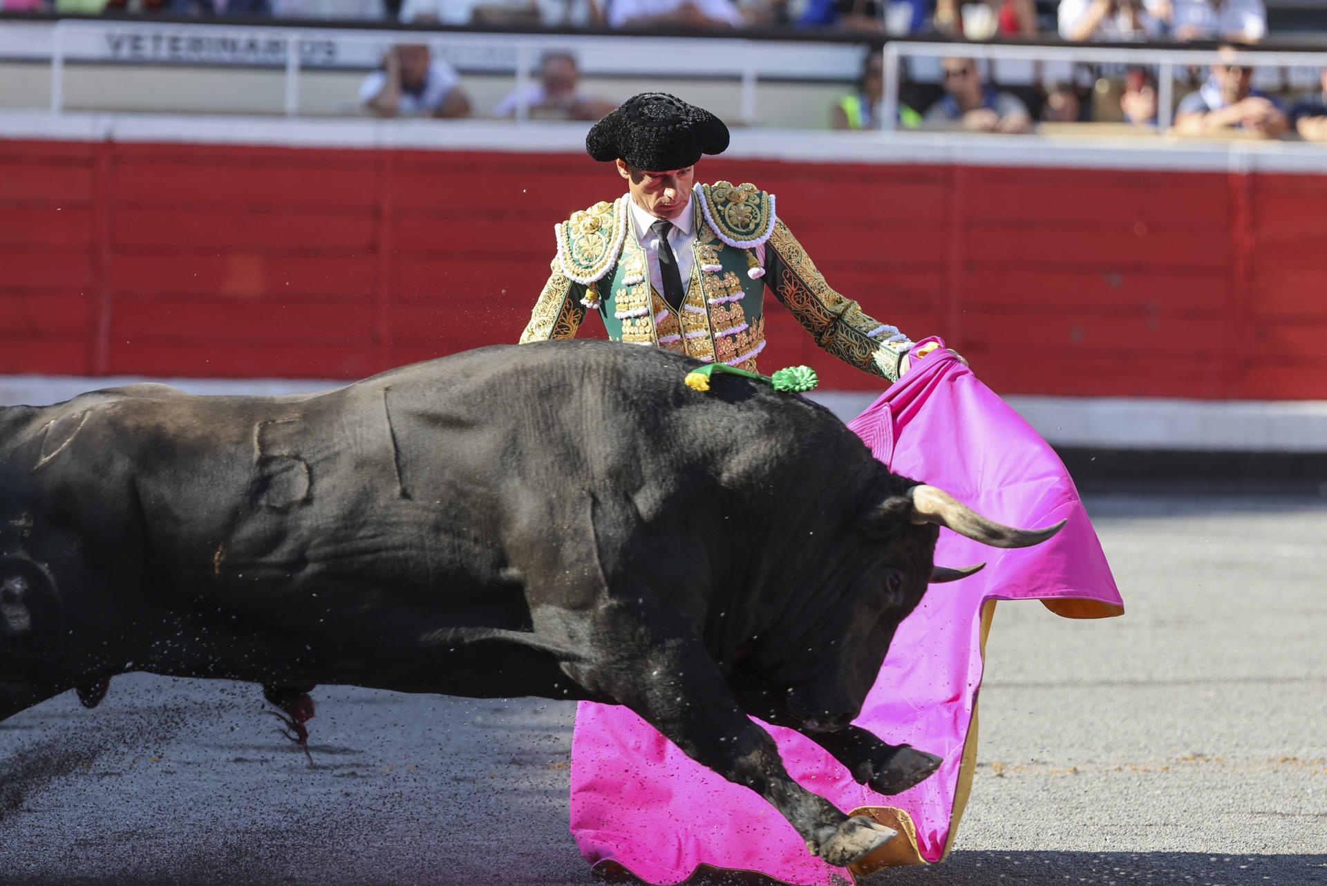 El torero Paco Ureña con el capote y su primer toro durante su faena en la última de las Corridas Generales de la Aste Nagusia 2025 de Bilbao, este sábado en la Plaza de Toros de Vista Alegre. EFE/ Luis Tejido