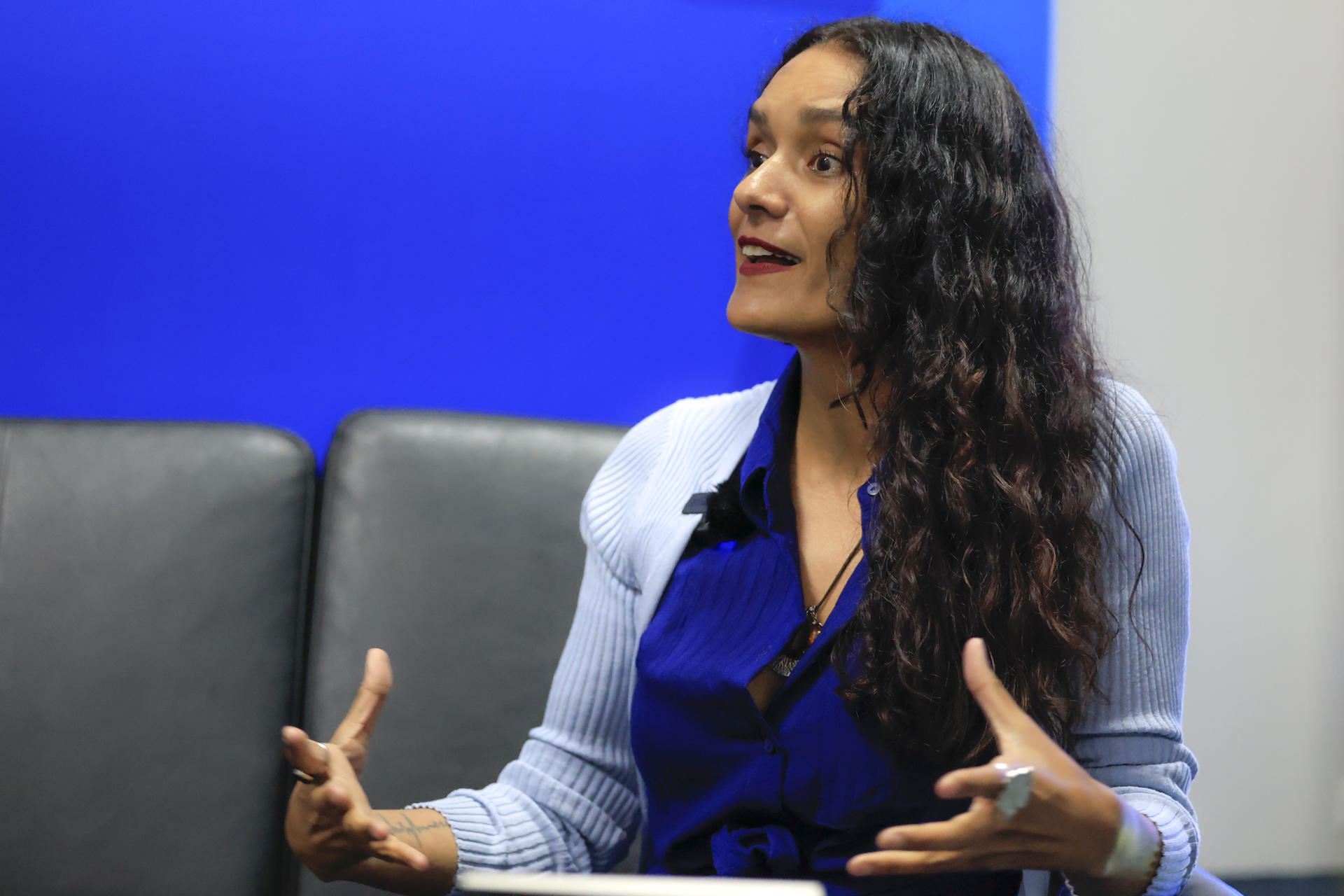 Fotografía de la escritora mexicana Alma Delia Murillo hablando durante una entrevista con EFE en la Feria Internacional del Libro en Ciudad de Panamá (Panamá). EFE/ Bienvenido Velasco
