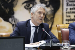 El ministro del Interior, Fernando Grande-Marlaska, comparece ante la Comisión de Interior de la Cámara Alta, a petición del PP, este jueves en el Senado. EFE/ Chema Moya