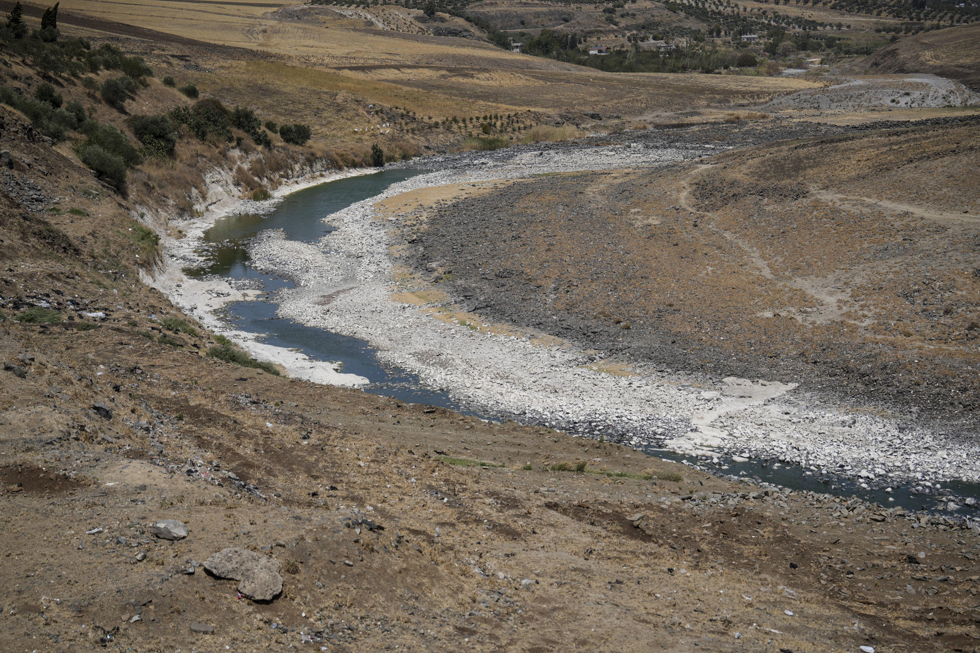 Vista del cauce seco del río Orontes, en el noroeste de Siria, donde la sequía ha dejado sin agua a miles de agricultores y amenaza la economía local. Los sirios que viven en la orilla del Orontes atestiguan que este año es el de mayor sequía del que tienen memoria. Este río, de importancia histórica y que discurre desde el Líbano atravesando Siria hacia Turquía, se ha quedado seco, dejando enormes daños medioambientales, humanos y económicos. EFE/ Yahya Nemah