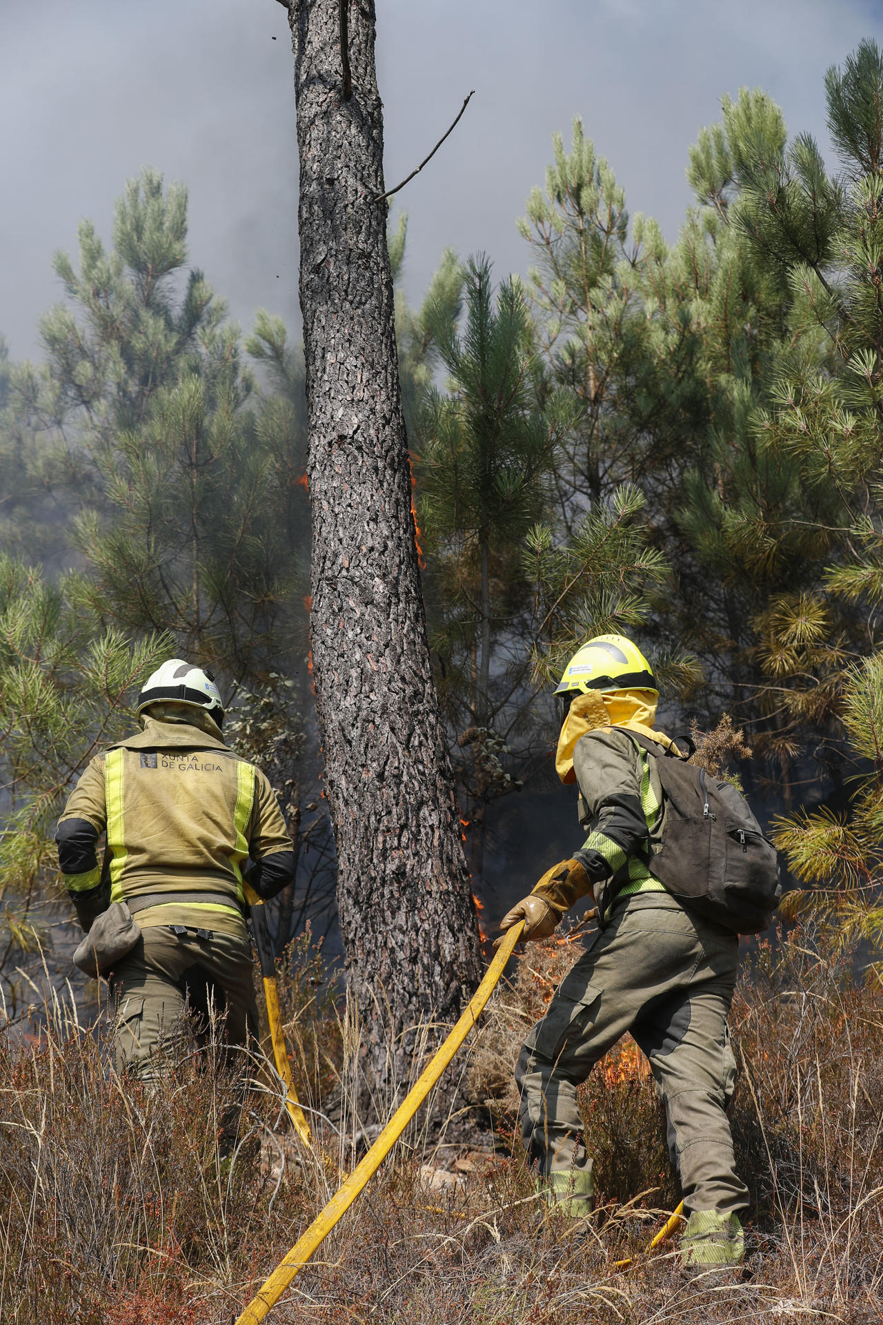 Un tronco de un árbol arde ante los bomberos forestales que trabajan en la extinción del incendio de la parroquia de A Cova (Lugo) que afecta a unas 50 hectáreas y está prácticamente bajo control. EFE/ Eliseo Trigo
