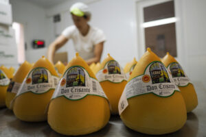 Imagen del pasado 21 de julio de quesos de la Queixería Don Crisanto en Vilalba (Lugo), premio especial de Alimentos de España 2025, EFE/ Eliseo Trigo