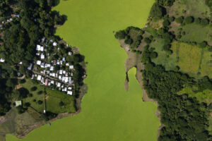 Fotografía aérea que muestra el lago Suchitlán afectado por la planta acuática Pistia Stratiotes este jueves, en Cuscatlán (El Salvador). EFE/ Vladimir Chicas