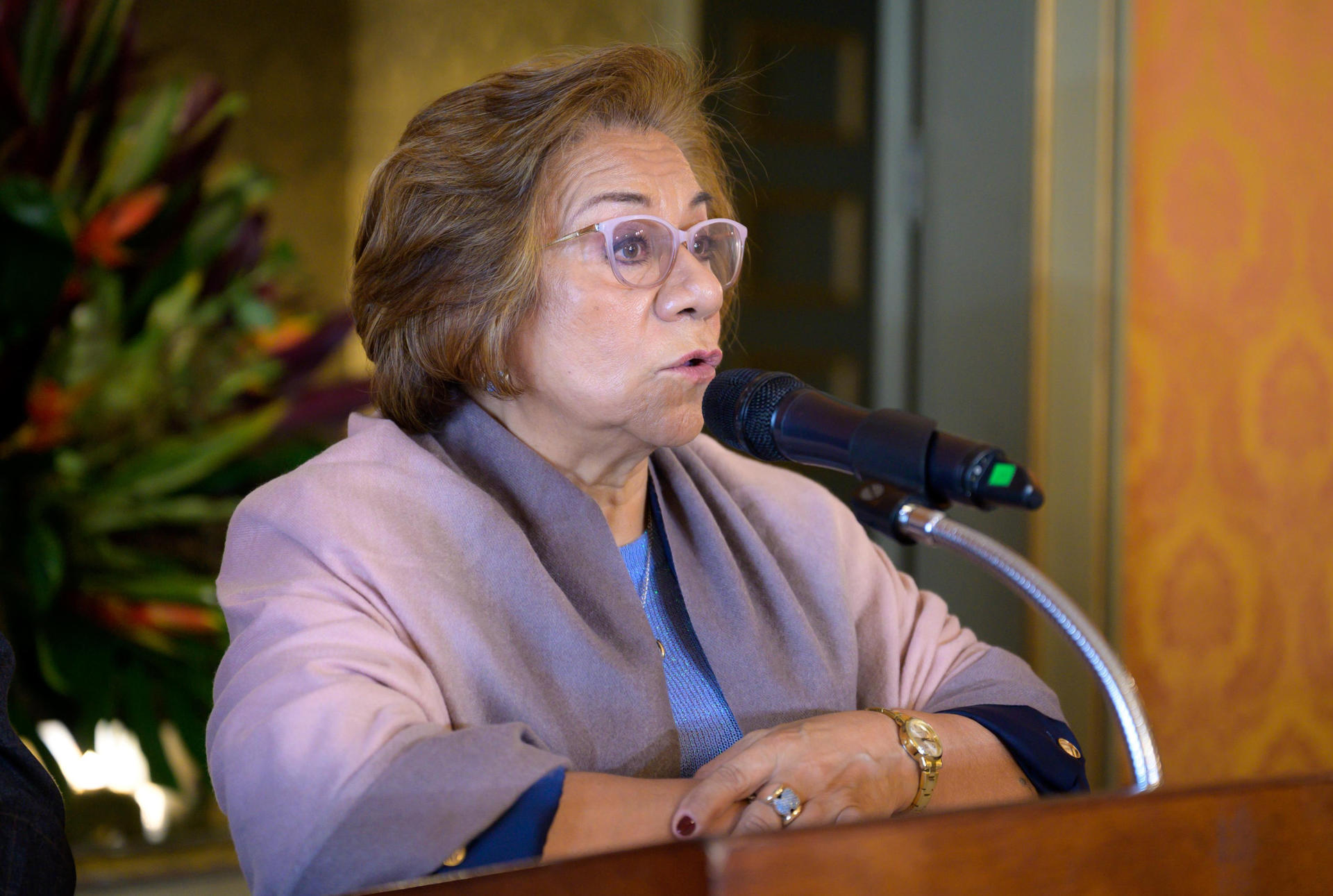 Fotografía cedida por la oficina de prensa del ministerio de relaciones exteriores de Colombia de la canciller encargada, Yolanda Villavicencio, hablando este lunes en Bogotá (Colombia). EFE/ Cancillería De Colombia