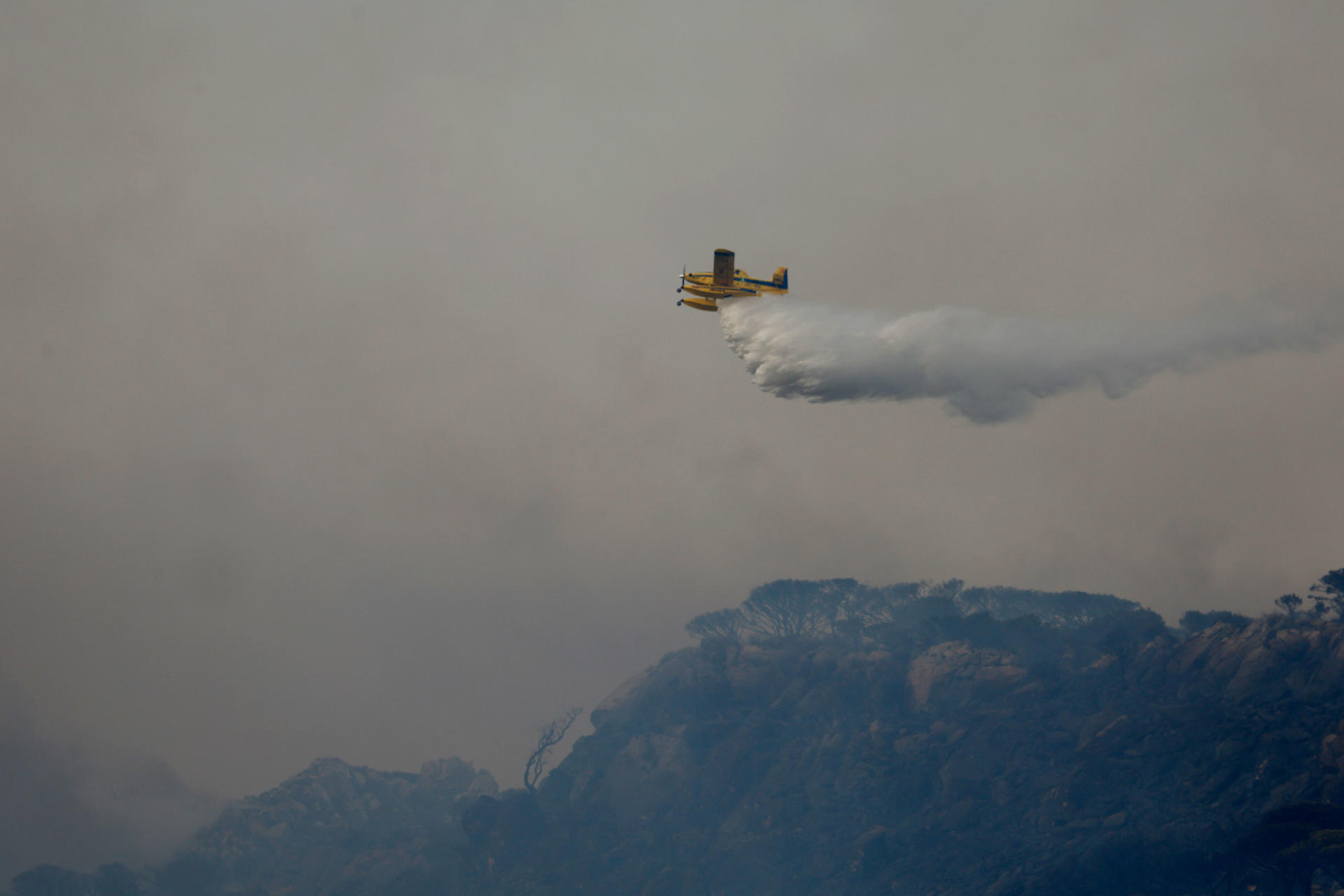 Un incendio forestal declarado en el paraje de La Peña, en Tarifa (Cádiz), ha provocado el corte de la N-340 en ambos sentidos. EFE/A.Carrasco Ragel.