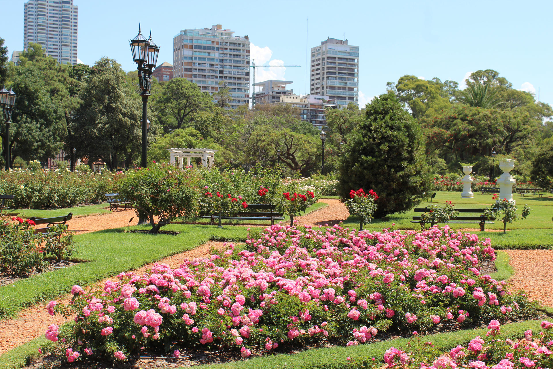 Fotografía cedida por Visit Argentina del Rosedal de Palermo en Buenos Aires (Argentina). EFE/ Visit Argentina Eli Medeiros /SOLO USO EDITORIAL NO VENTAS /SOLO DISPONIBLE PARA ILUSTRAR LA NOTICIA QUE ACOMPAÑA (CRÉDITO OBLIGATORIO)