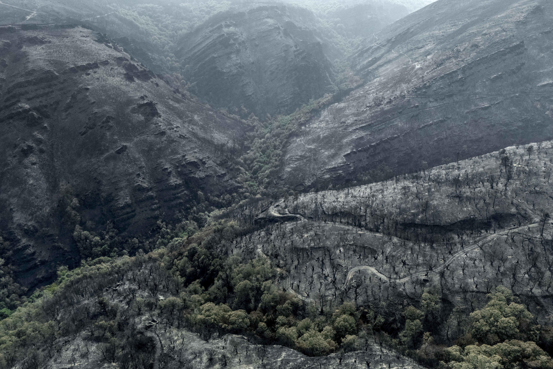 Superficie calcinada por el peor incendio de la historia de Galicia, el de Larouco (Ourense), estabilizado tras arrasar 30.000 hectáreas. EFE/Brais Lorenzo