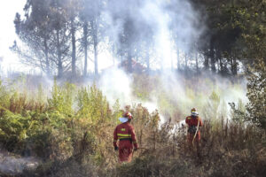 Imagen del incendio forestal en la zona del municipio de Ponteceso (A Coruña). EFE/ Moncho Fuentes