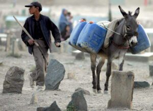 En la imagen de archivo, un niño afgano lleva a un burro con una cuerda mientras transporta bidones de agua potable, en Kabul. EFE/ Syed Jan Sabawoon