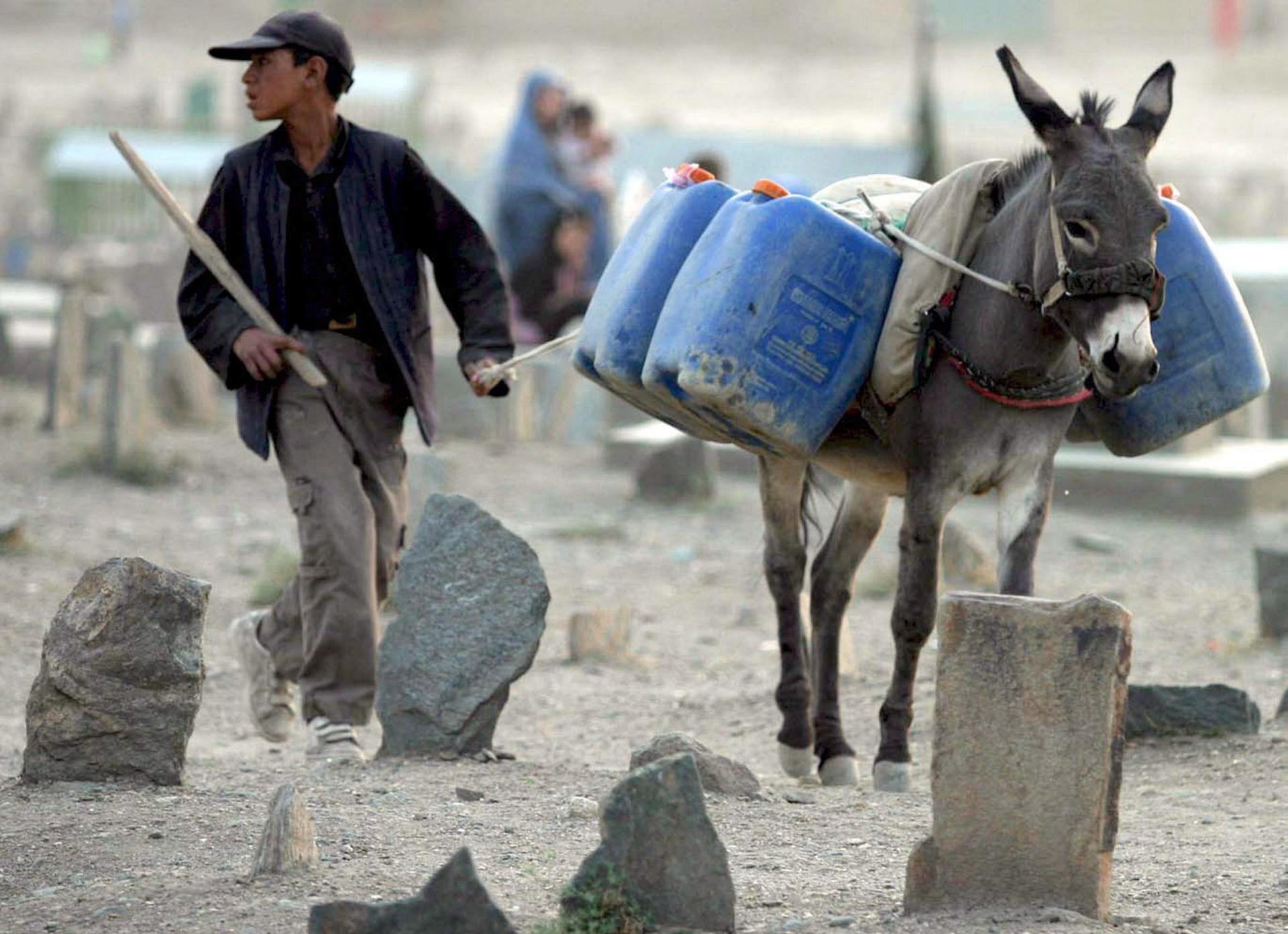 En la imagen de archivo, un niño afgano lleva a un burro con una cuerda mientras transporta bidones de agua potable, en Kabul. EFE/ Syed Jan Sabawoon