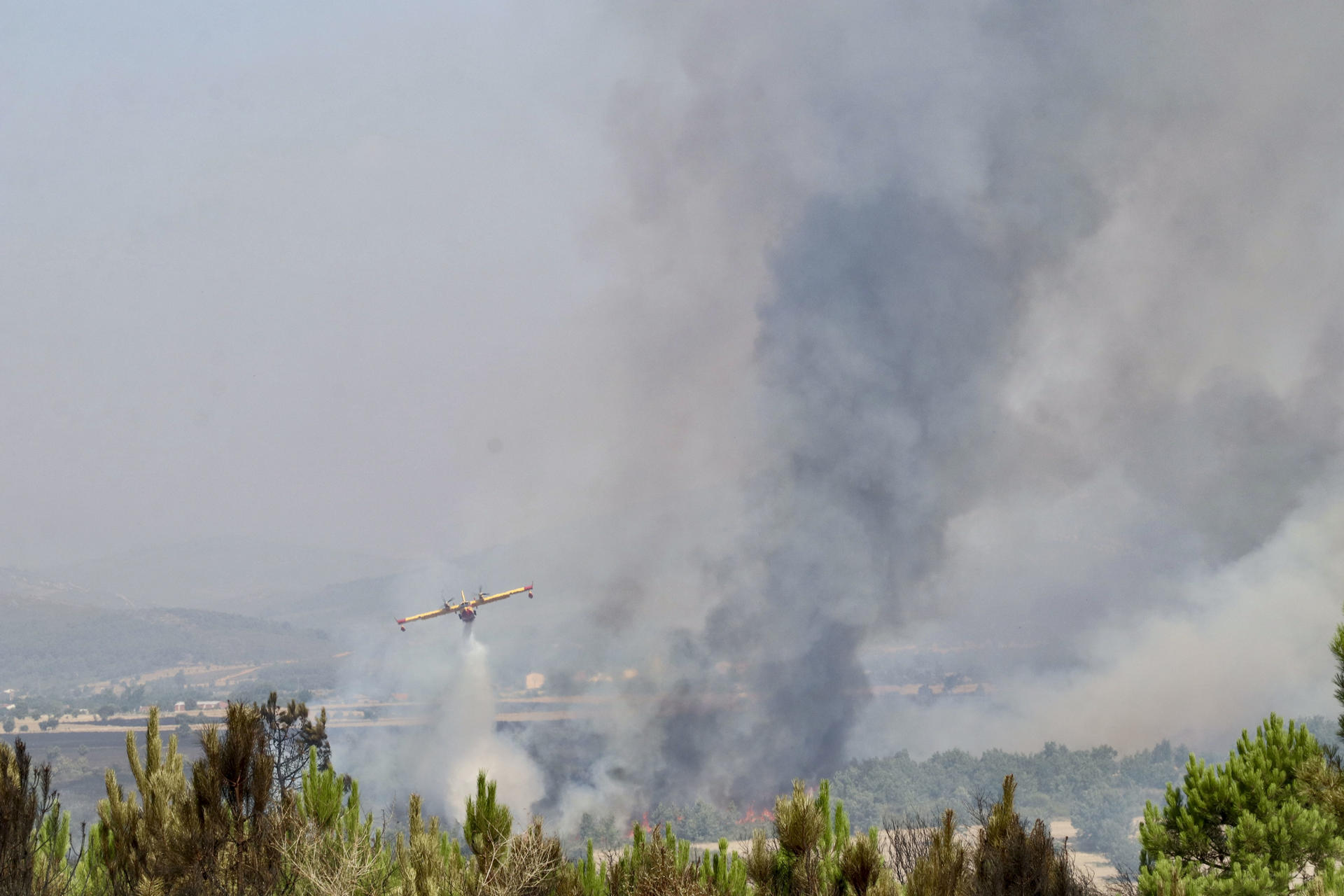Un hidroavión descarga sobre las llamas del incendio forestal de Abejera (Zamora). . EFE/Mariam A. Montesinos