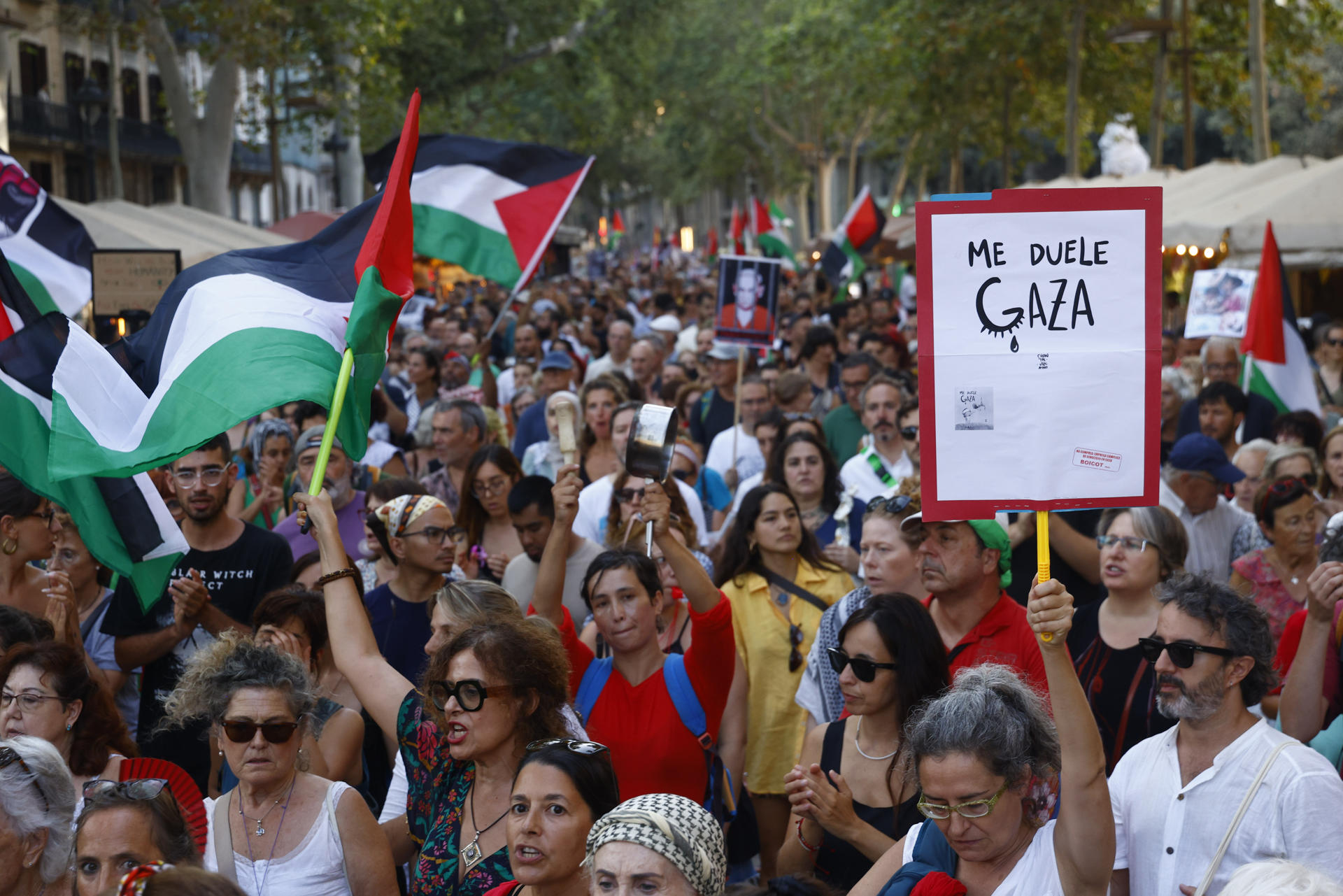 Aspecto de la Marcha por Palestina convocada por la plataforma internacional Global Movement to Gaza, que reclama que "los gobiernos que actúen contra el genocidio de Israel en Gaza, esta tarde en Barcelona. EFE/Quique García