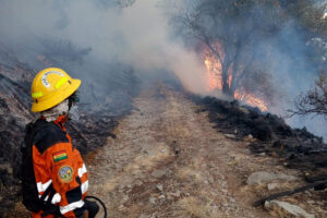 Fotografía cedida por el Grupo Voluntario de Salvamento de Cochabamba (SAR Bolivia) donde se muestra a un bombero observando un incendio forestal en el parque nacional Tunari este miércoles, en Cochabamba (Bolivia). EFE/ Grupo Voluntario de Salvamento de Cochabamba
