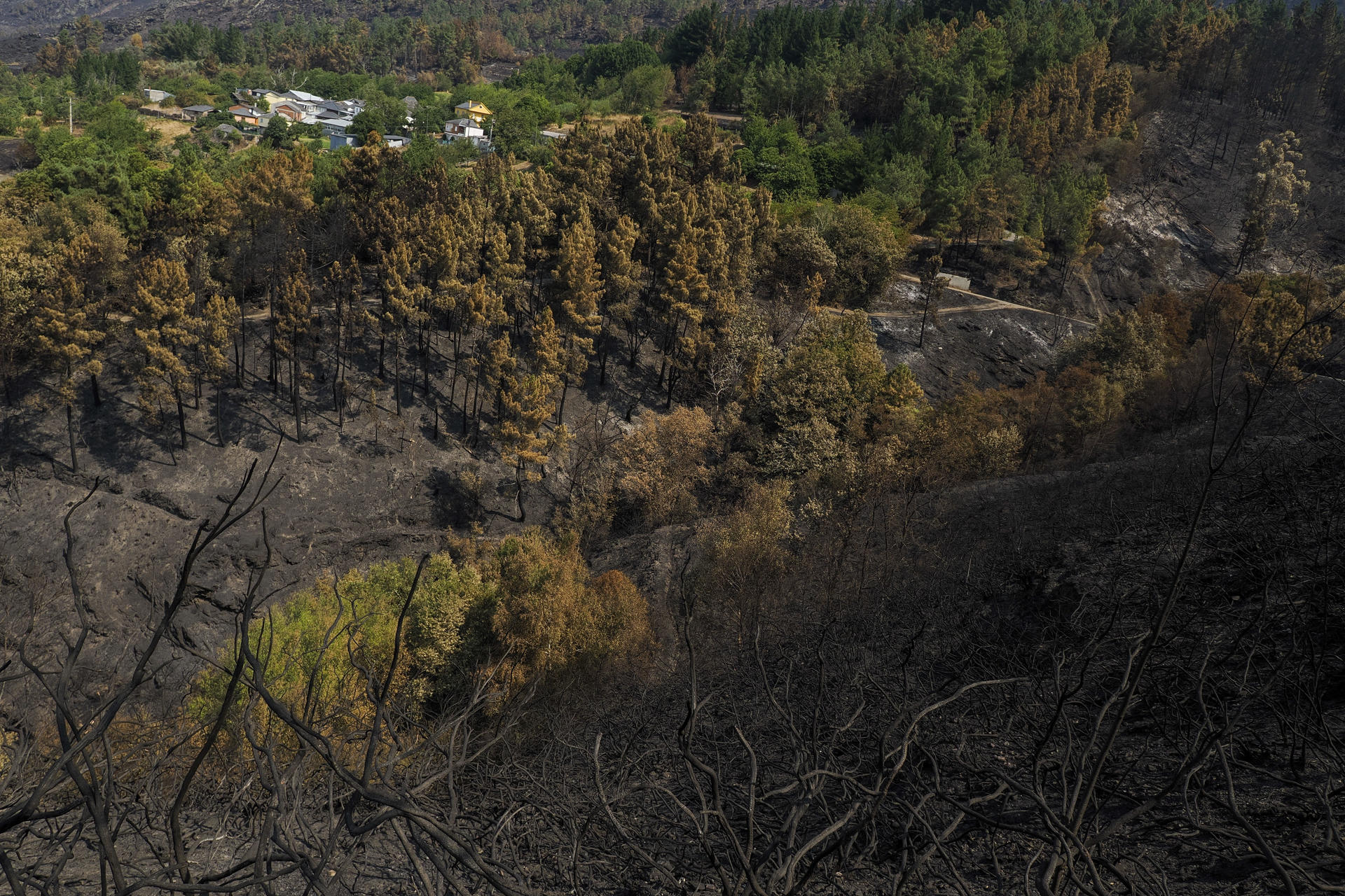 El pueblo de Vilar de Mondelo, este jueves, entre los montes quemados en Quiroga (Lugo) por un incendio que se inició en Larouco (Ourense) y tras cruzar el río Sil se ha situado en la localidad lucense de Quiroga y ya supera las 30.000 hectáreas afectadas en el territorio gallego, siendo el más extenso. EFE/ Eliseo Trigo