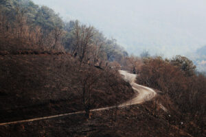 LUSIO (LEÓN), 19/08/2025.- Imagen de los alrededores del pueblo de Lusio, en el municipio berciano de Oencia, en León, que ha quedado arrasado por las llamas del incendio que entró en León procedente de Ourense el pasado 16 de agosto. Unas treinta personas habitaban este pueblo leonés de casas de piedra, huertas y pura naturaleza. Hoy, tras el paso del fuego, Lusio es ceniza, humo y ruinas. EFE/ Ana F. Barredo
