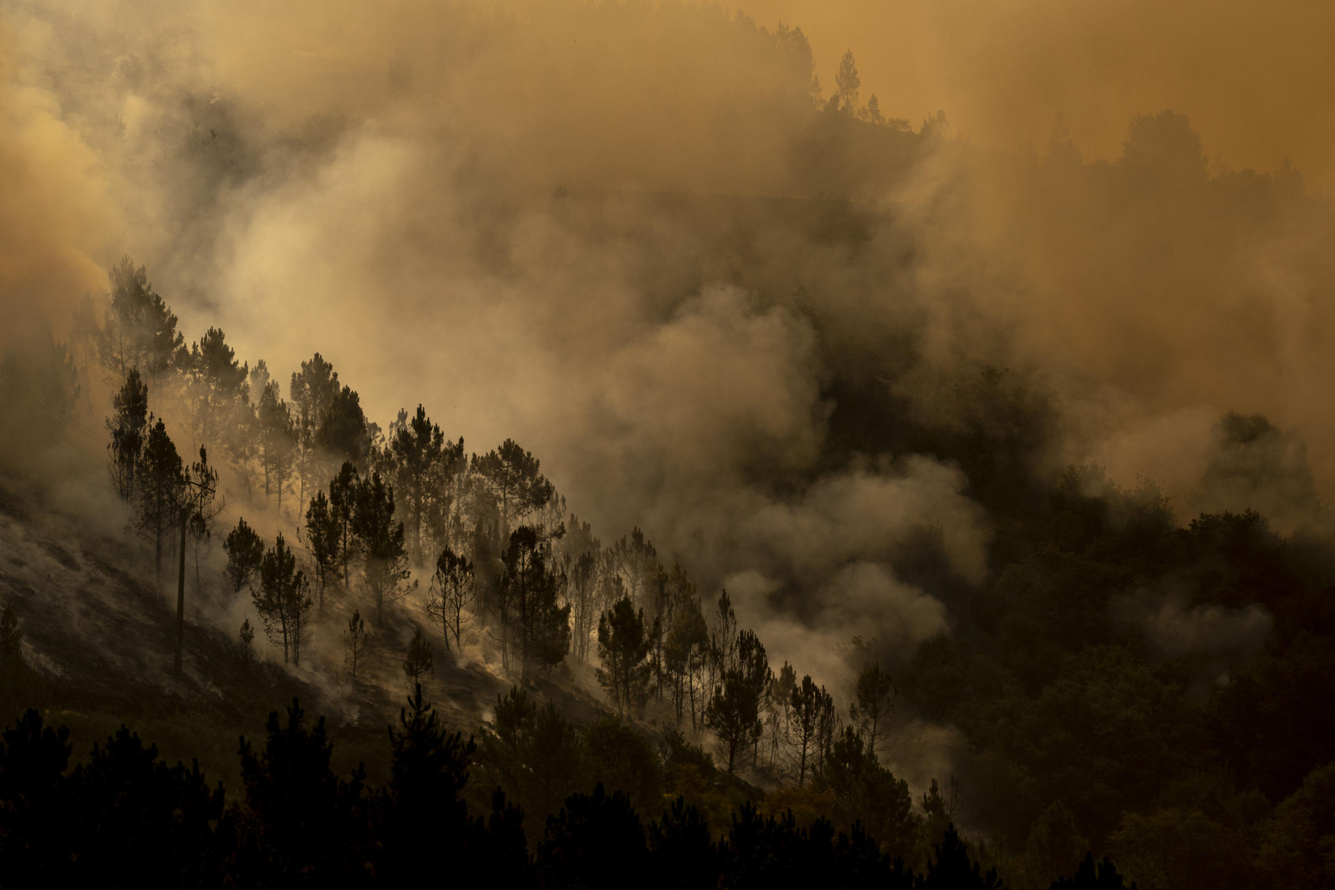 Vista del incendio que se registra en los alrededores de Maceda (Ourense) este domingo. Un incendio con entre cinco y seis puntos que prendieron casi a la vez y que obligó a la Xunta a decretar el nivel 2 de emergencia este domingo de madrugada por su proximidad al núcleo de A Teixeira, en Maceda (Ourense), situación que ya se ha desactivado, según informa el 112 Galicia. EFE/ Brais Lorenzo
