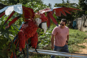 Fotografía de Yhorby Ventura observando una escultura de una guacamaya, en Maracaibo (Venezuela). EFE/ Henry Chirinos