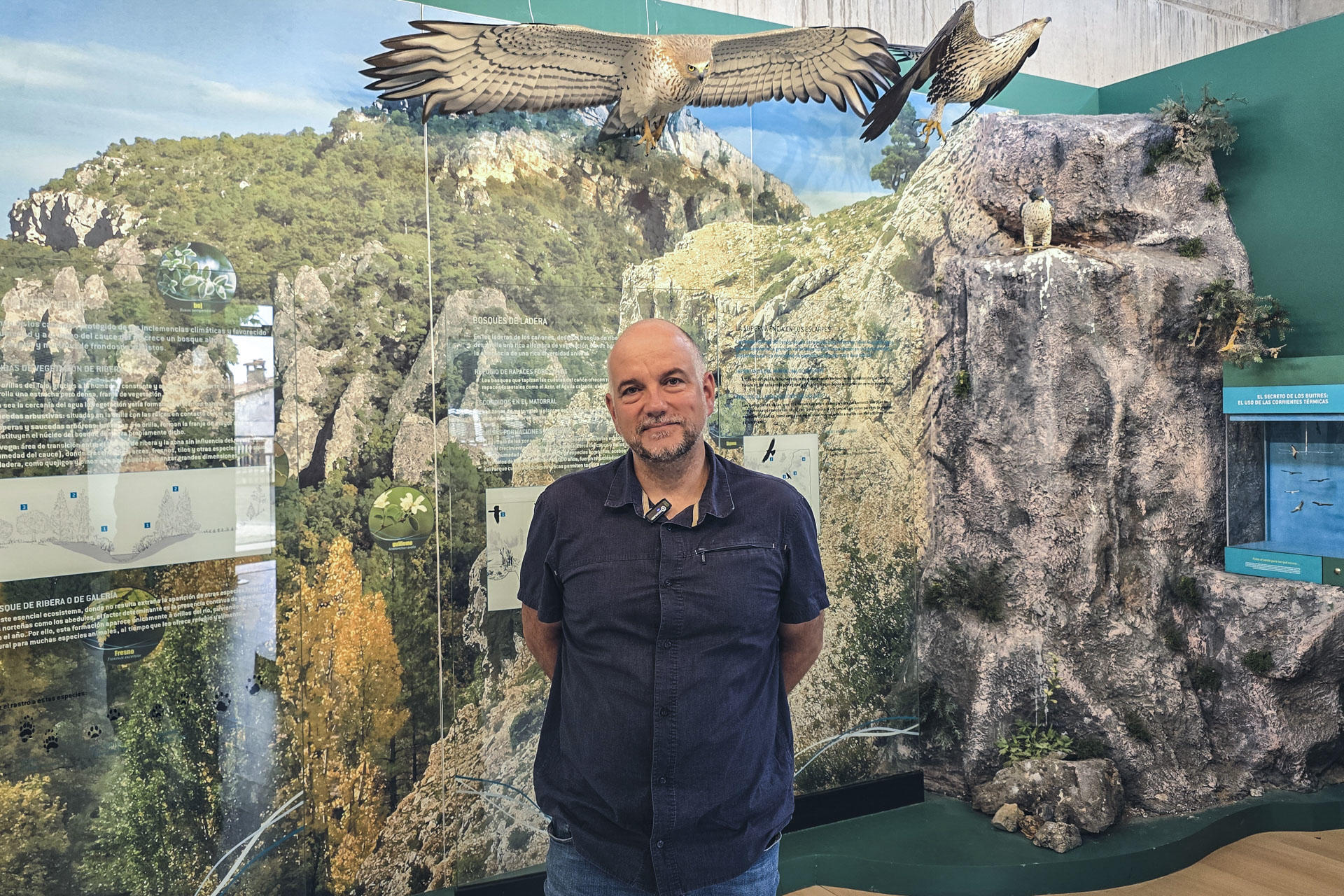 Con una superficie de más de 100.000 hectáreas, sobre todo en la provincia de Guadalajara aunque también de Cuenca, y con una totalidad de 44 municipios, el Parque Natural del Alto Tajo cumple en 2025 los 25 años de su declaración, siendo ejemplo de proyectos de conservación y motor de desarrollo para una de las zonas más despobladas de España. EFE/ Beatriz Retuerta
