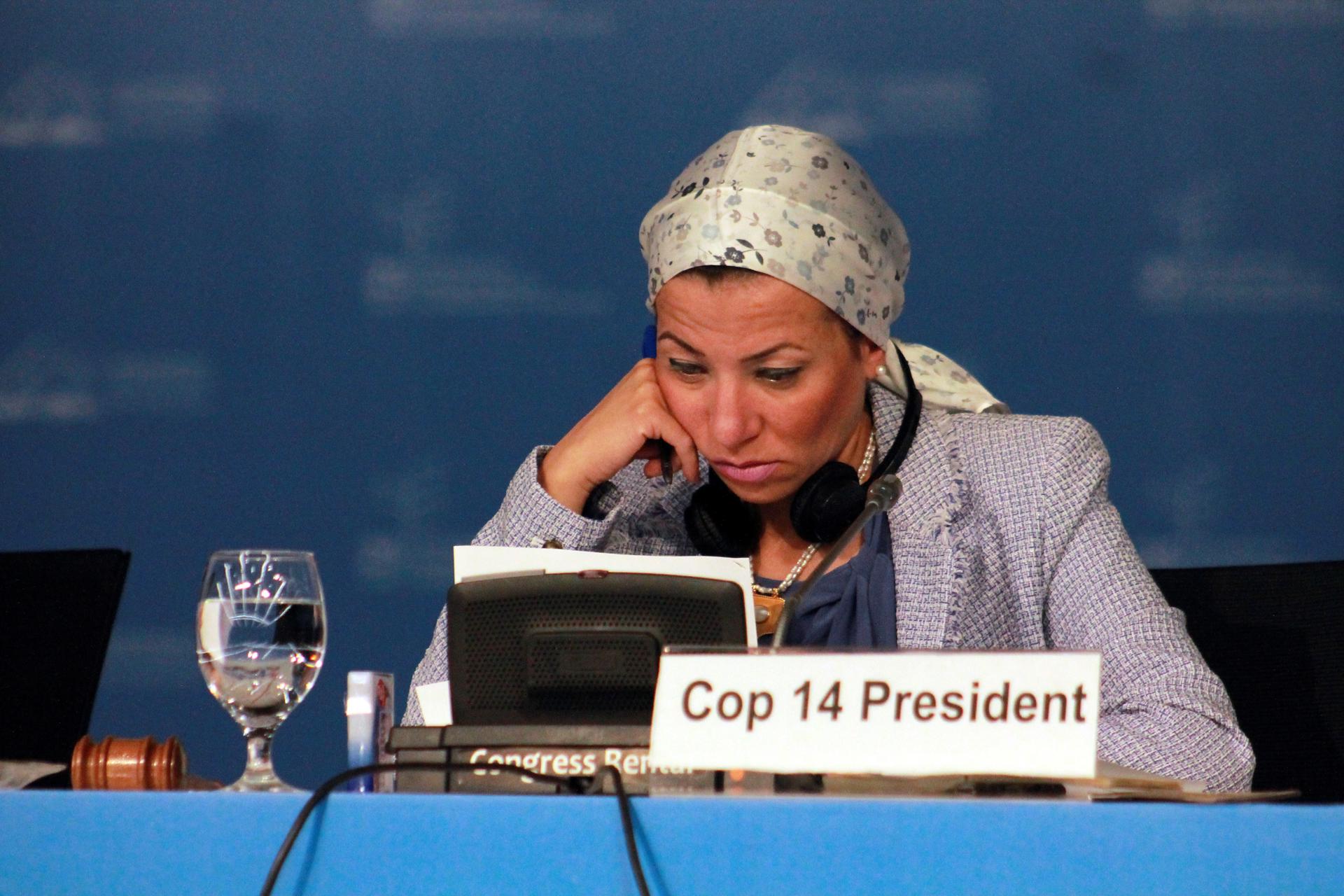 En la imagen de archivo, la ministra de Medio Ambiente egipcia, Yasmine Fouad. EFE/Isaac J. Martín