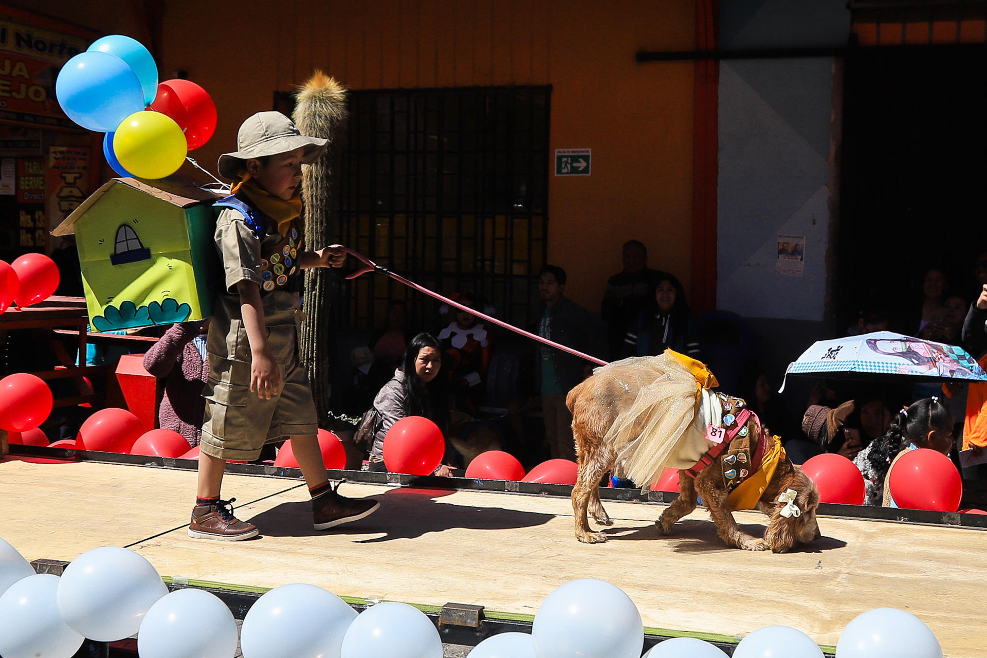 Una persona camina junto a un perro durante un desfile canino este sábado, en La Paz (Bolivia). EFE/ Gabriel Márquez