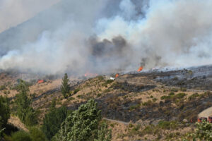 El incendio que quema Fasgar (León) desde el pasado 8 de agosto -21 días-, con la incapacidad de los medios de extinción de atacar directamente en muchas ocasiones las llamas, posee unas condiciones "nunca vistas", según relatan los medios que tratan de sofocarlo, ha destacado la Junta de Castilla y León. EFE/ J. Casares