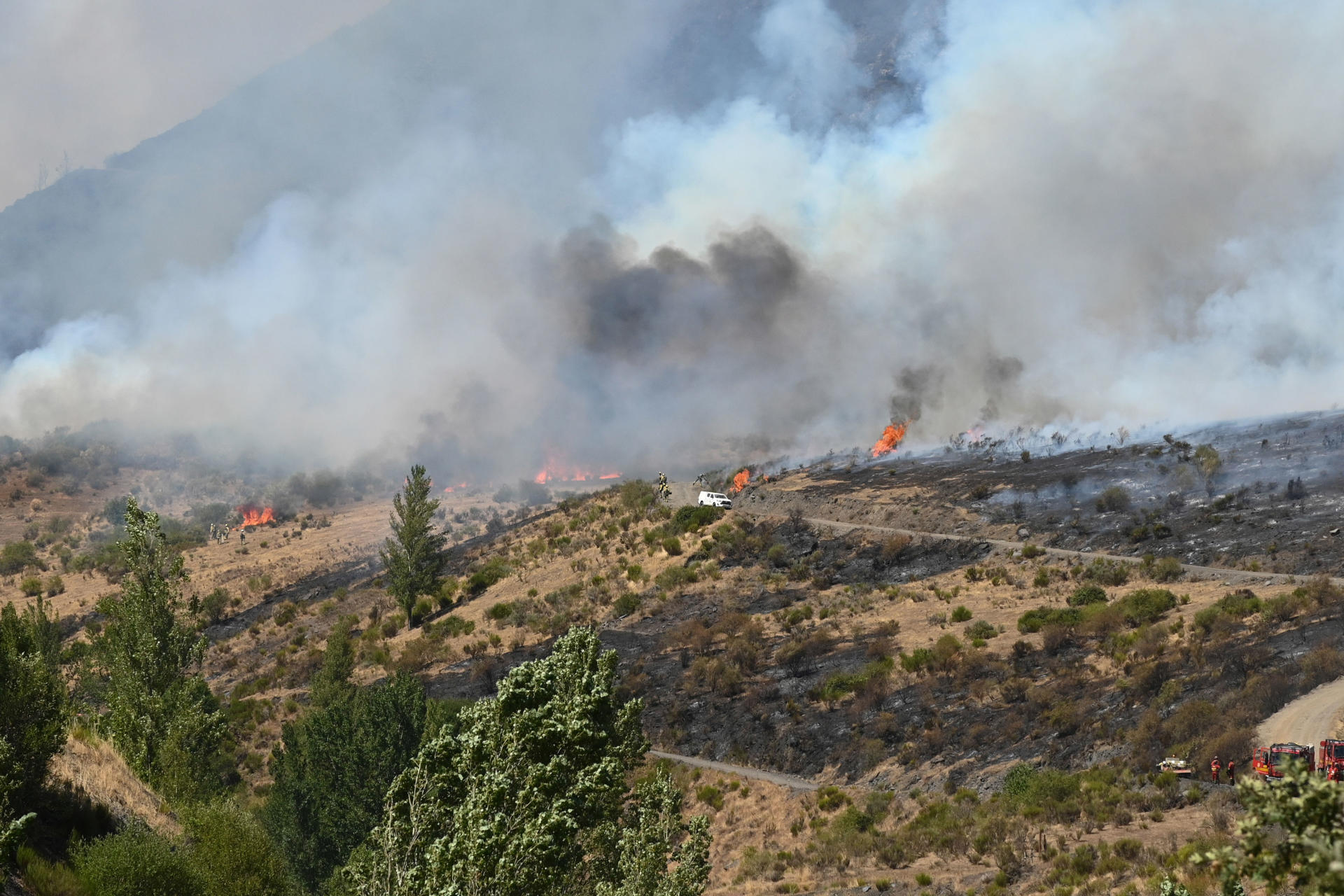 El incendio que quema Fasgar (León) desde el pasado 8 de agosto -21 días-, con la incapacidad de los medios de extinción de atacar directamente en muchas ocasiones las llamas, posee unas condiciones "nunca vistas", según relatan los medios que tratan de sofocarlo, ha destacado la Junta de Castilla y León. EFE/ J. Casares