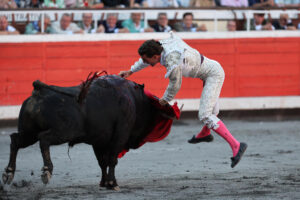 El diestro Fernando Adrián con su primer toro durante su faena en la última de las Corridas Generales de la Aste Nagusia 2025 de Bilbao, este sábado en la Plaza de Toros de Vista Alegre. EFE/ Luis Tejido