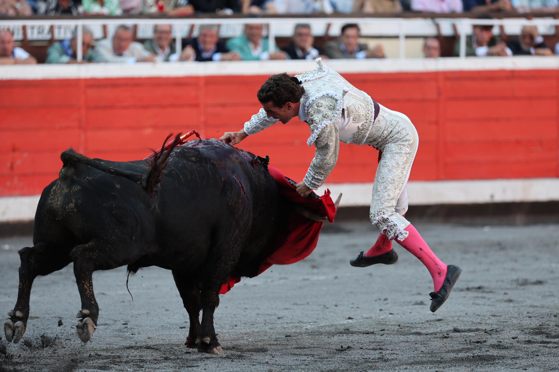 El diestro Fernando Adrián con su primer toro durante su faena en la última de las Corridas Generales de la Aste Nagusia 2025 de Bilbao, este sábado en la Plaza de Toros de Vista Alegre. EFE/ Luis Tejido