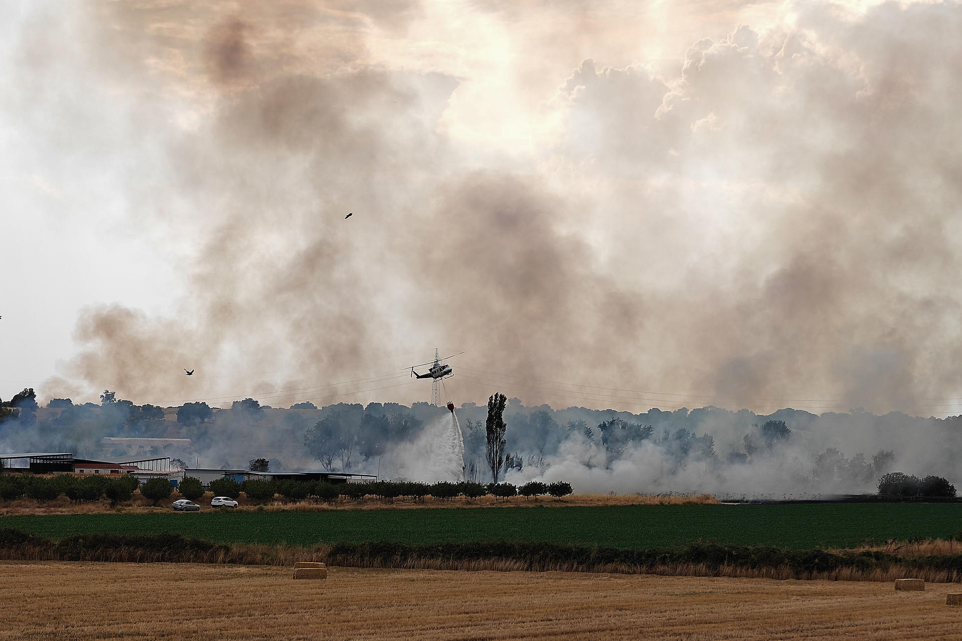 Un incendio se declaró este martes en el municipio toledano de Calera y Chozas, en la comarca de Talavera de la Reina, en una zona de arbolado cercana a una finca de ganado. EFE/Manu Reino.