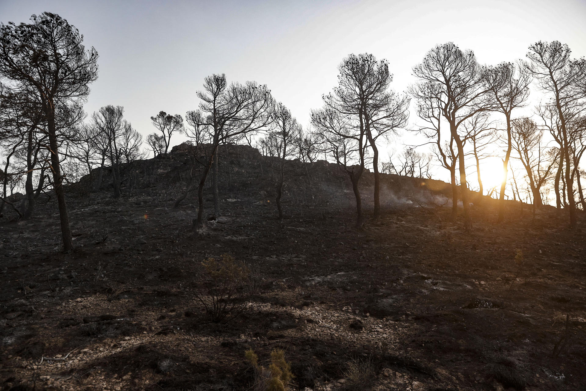 Imagen del jueves pasado de la zona incendiada en un área de Teresa de Cofrentes, en Valencia. EFE/Manuel Bruque