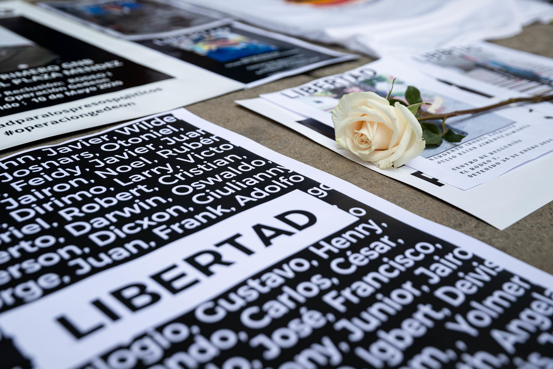Fotografía de archivo de un cartel con la palabra "libertad" junto a una flor blanca durante una protesta frente al Ministerio Público para exigir la liberación de presos políticos en Venezuela. EFE/ Ronald Peña