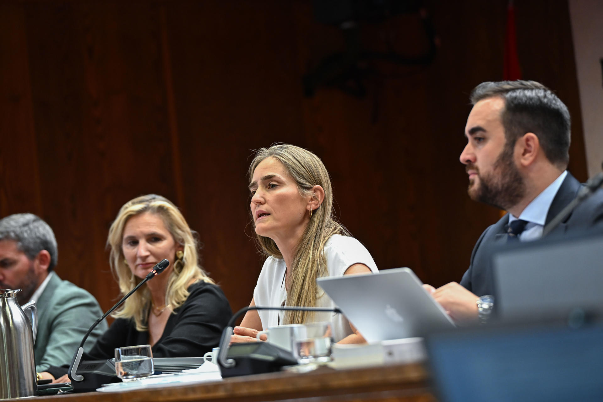 La vicepresidenta tercera y ministra para la Transición Ecológica y el Reto Demográfico, Sara Aagesen (c), comparece en la Comisión de Transición Ecológica del Senado, en sesión extraordinaria a petición del Partido Popular, para informar sobre las medidas adoptadas por su departamento ante los incendios forestales que afectan a distintas comunidades autónomas. EFE/ Fernando Villar