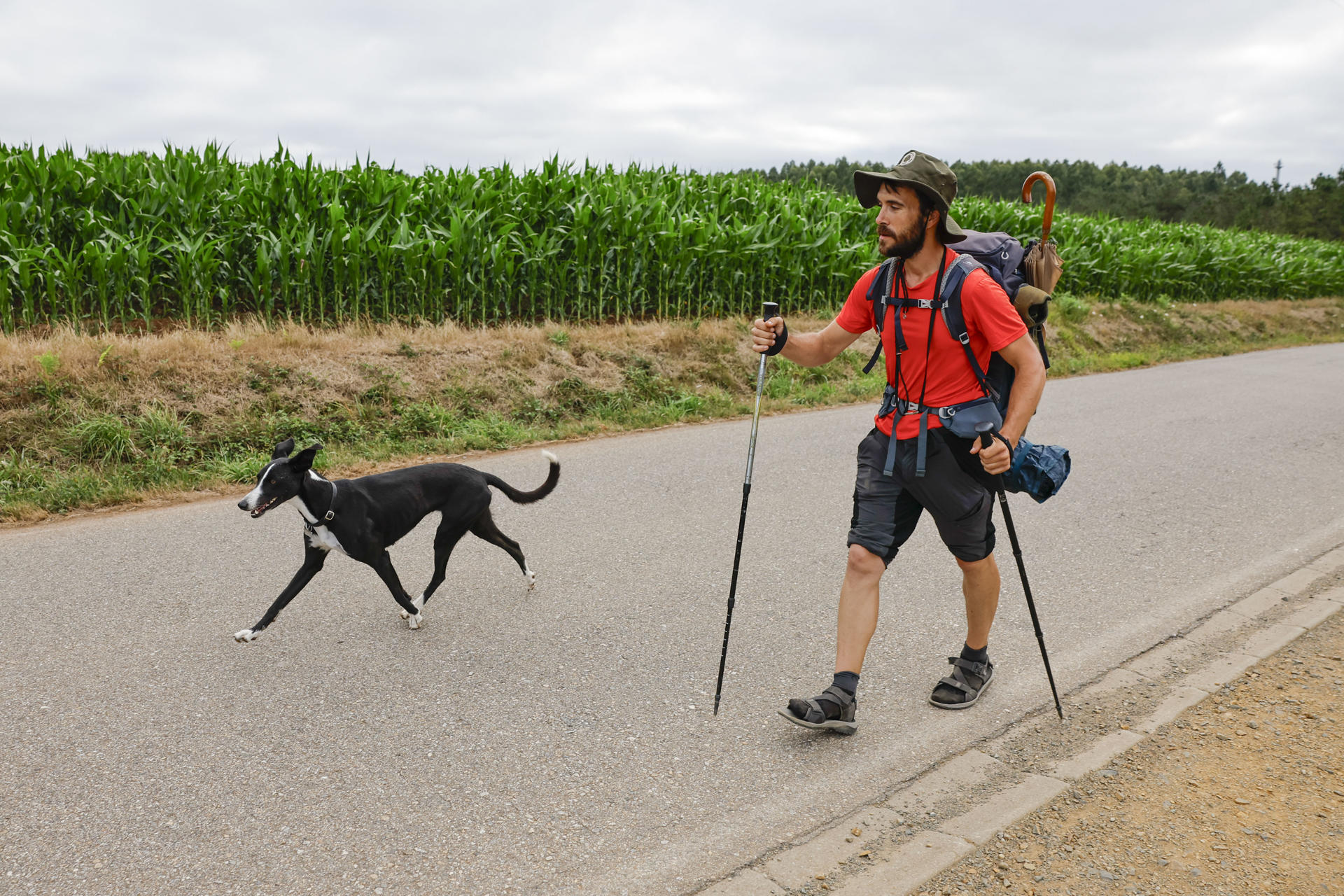Adrián y su perrita Laika llegan a Santiago tras veinte días caminando. En los últimos años cada vez son más los peregrinos que deciden recorrer las rutas jacobeas acompañados de sus perros, una tendencia que sin embargo puede resultar algo compleja si no se prepara bien el viaje debido a la falta de recursos y en algunos casos a la poca empatía. EFE/Lavandeira jr