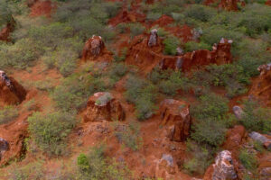 Fotografía de archivo de un sector de las llamadas tierras raras (conjunto de diecisiete elementos químicos que suelen encontrarse unidos en la naturaleza), en Pedernales (República Dominicana). EFE/Str