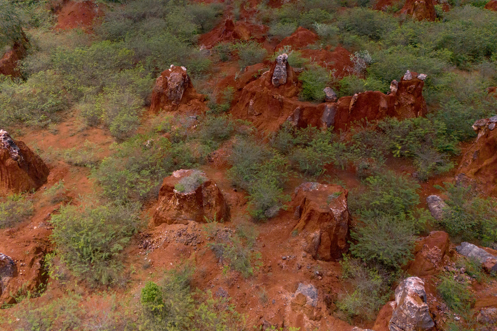 Fotografía de archivo de un sector de las llamadas tierras raras (conjunto de diecisiete elementos químicos que suelen encontrarse unidos en la naturaleza), en Pedernales (República Dominicana). EFE/Str