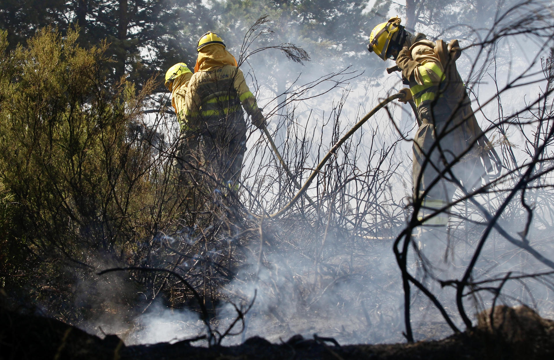 Un grupo de brigadistas intenta contener un incendio. EFE/Mariam A. Montesinos