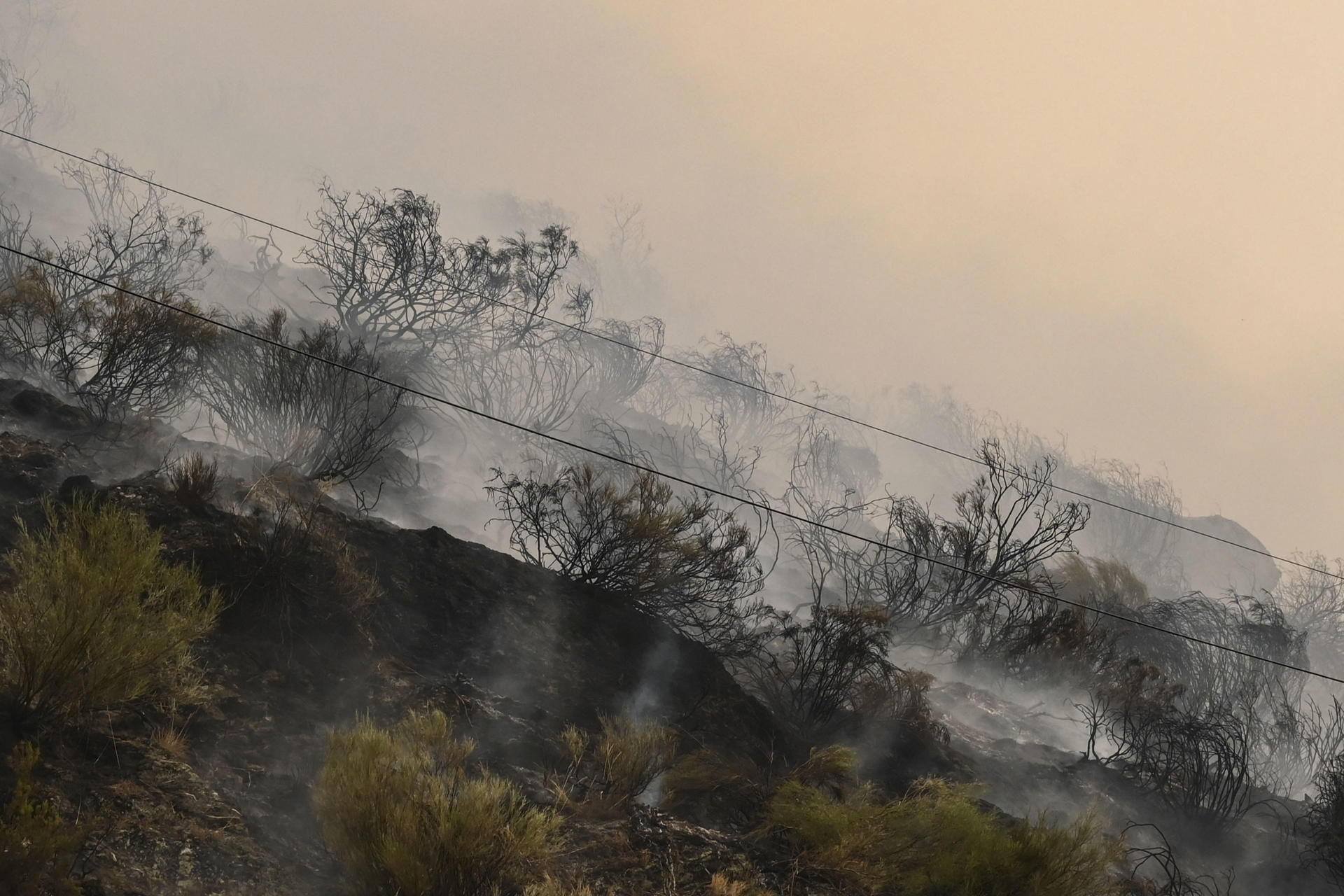 Imagen del incendio que amenaza la vertiente leonesa del Parque Nacional de Picos de Europa, iniciado en Barniedo de la Reina e impulsado por el viento y las altas temperaturas. EFE/J.Casares
