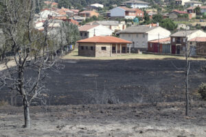 Imagen del pasado día 13 de la localidad zamorana de Abejera, cuatro de cuyos vecinos resultaron heridos en el incendio forestal que se inició en el cercano pueblo de Puercas. EFE/Mariam A. Montesinos