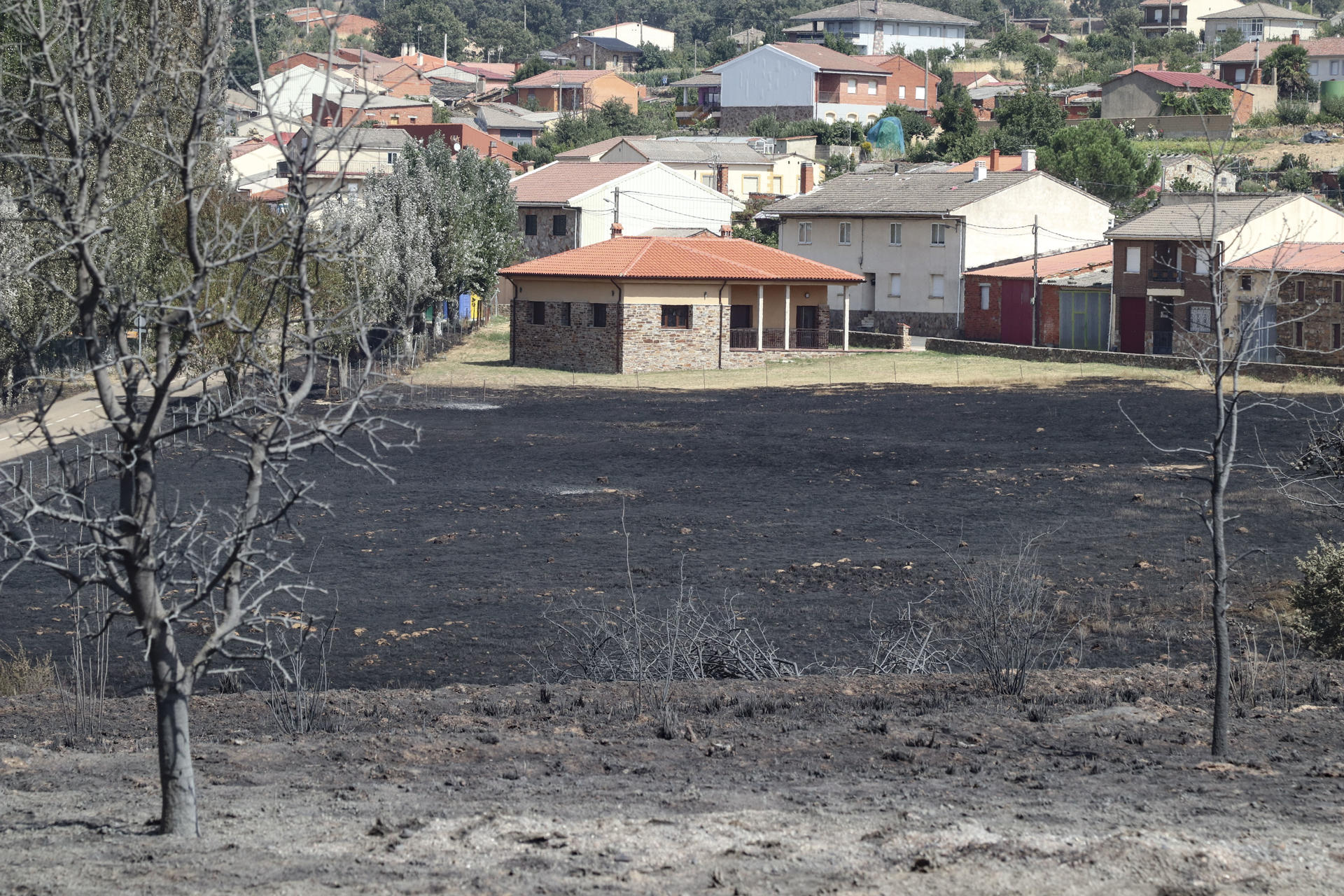 Imagen del pasado día 13 de la localidad zamorana de Abejera, cuatro de cuyos vecinos resultaron heridos en el incendio forestal que se inició en el cercano pueblo de Puercas. EFE/Mariam A. Montesinos
